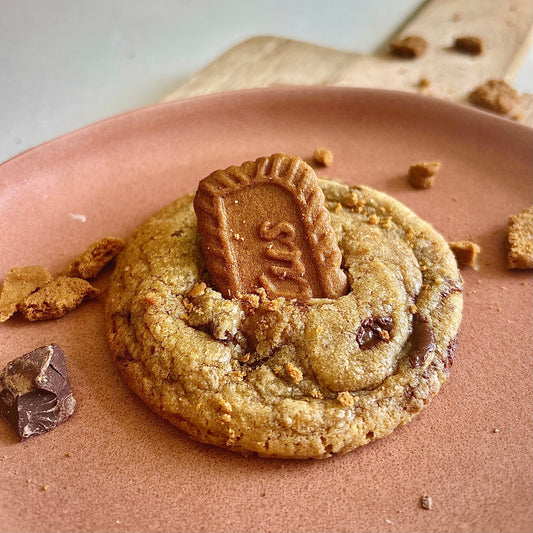 Speculoos melk chocolade koek (box van 4)